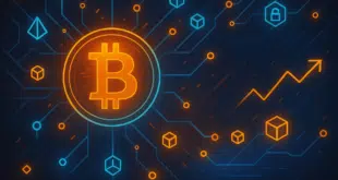 bitcoin - onchain