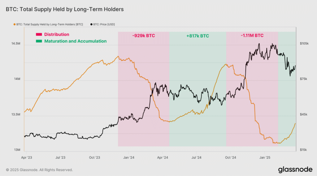 fornitura long term holders