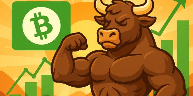 Bitcoin Cash (BTC) -