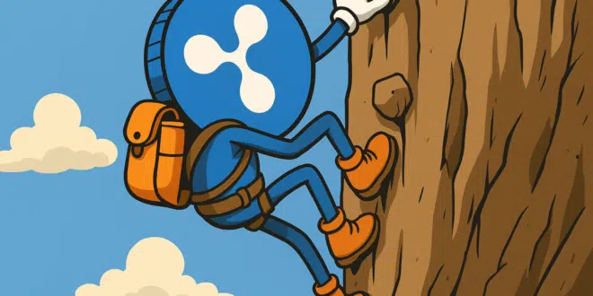 Ripple - XRP