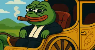Pepecoin - PEPE