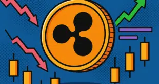ripple - XRP