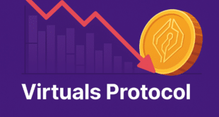 irtuals Protocol (VIRTUAL).