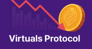irtuals Protocol (VIRTUAL).