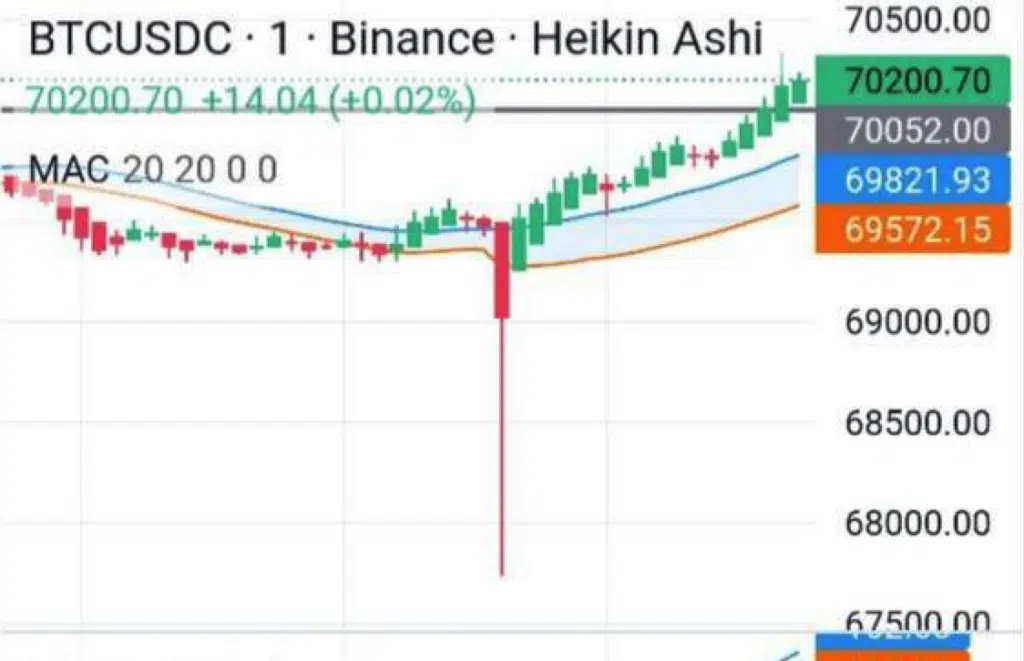 Binance USDC