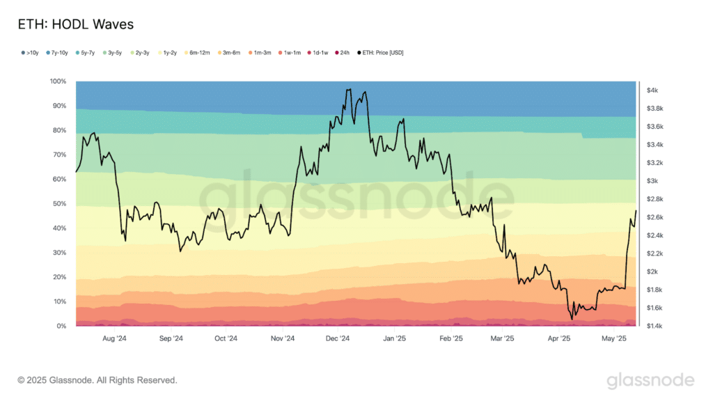 HODL segmenti offerta ethereum