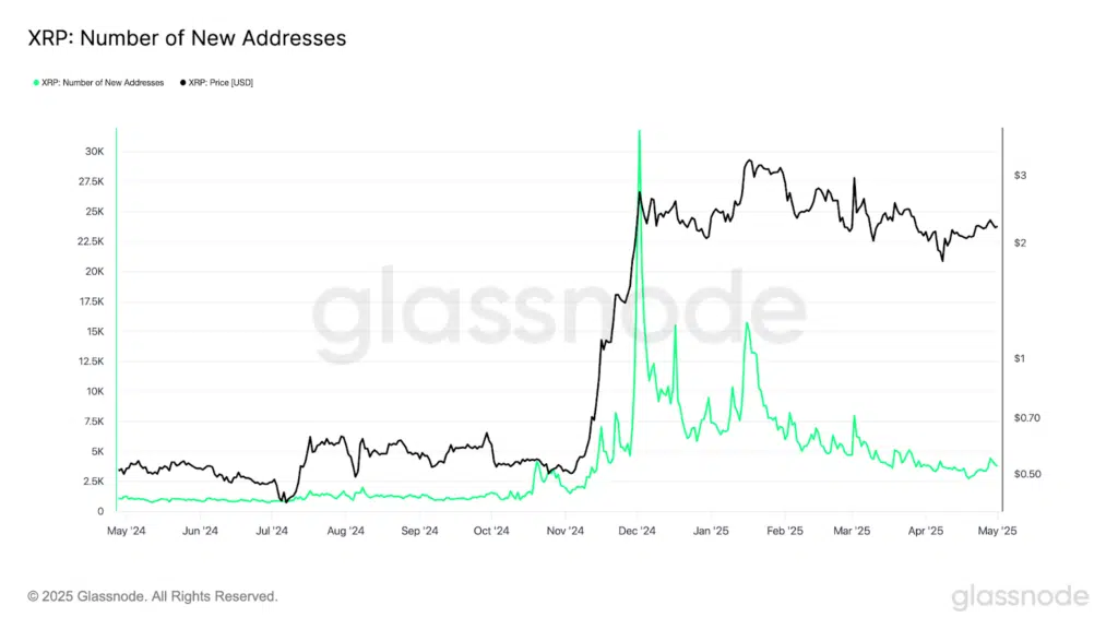 RIpple numero nuovi indirizzi rete