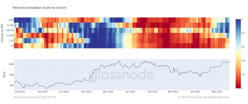 trend di accumulazione wallet bitcoin