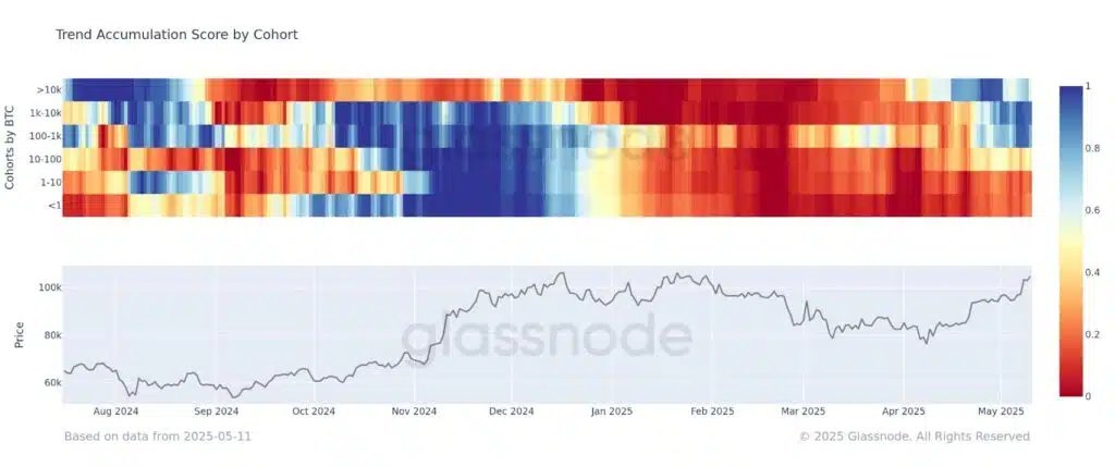 Bitcoin comportamenti coorti