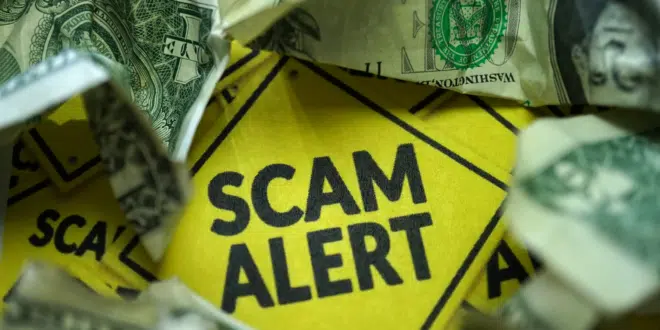 SCAM REPORT AI