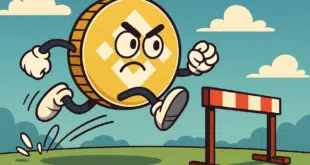 Binance Coin (BNB)