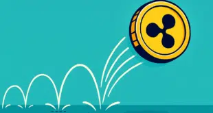 ripple - XRP