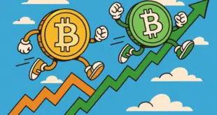 Bitcoin Cash