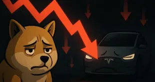 Dogecoin - Tesla