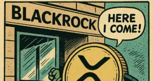 BLACKROCK RIPPLE