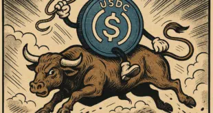 USDC BULL