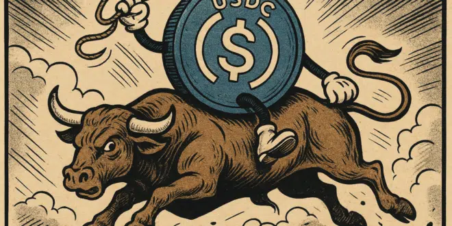 USDC BULL