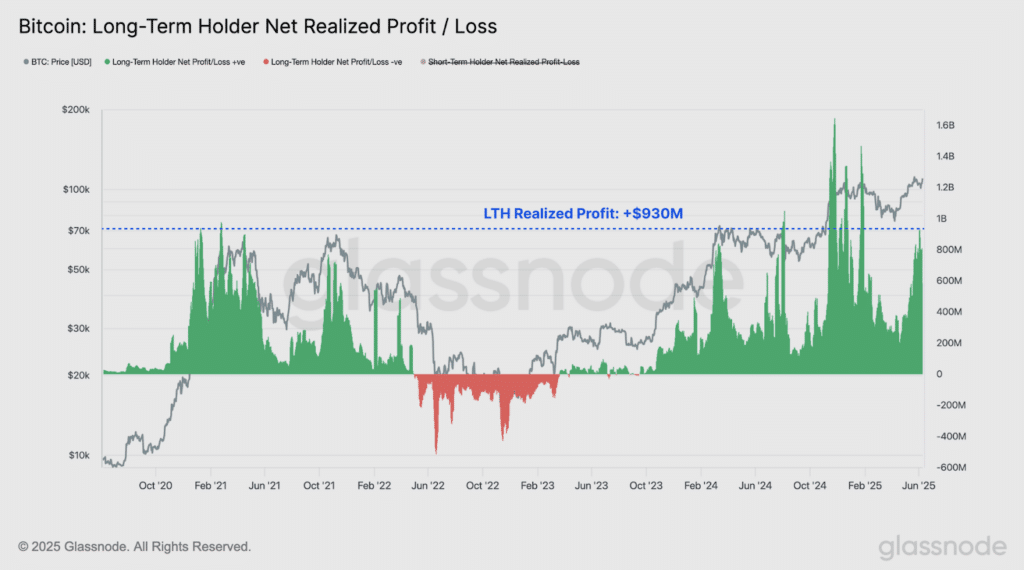 Bitcoin holders profitti e perdite