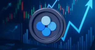 Previsioni Okb - OKB