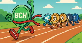 Bitcoin Cash