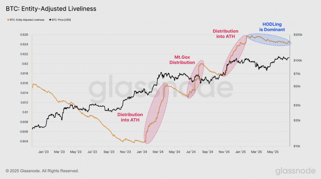 Bitcoin Liveliness on chain