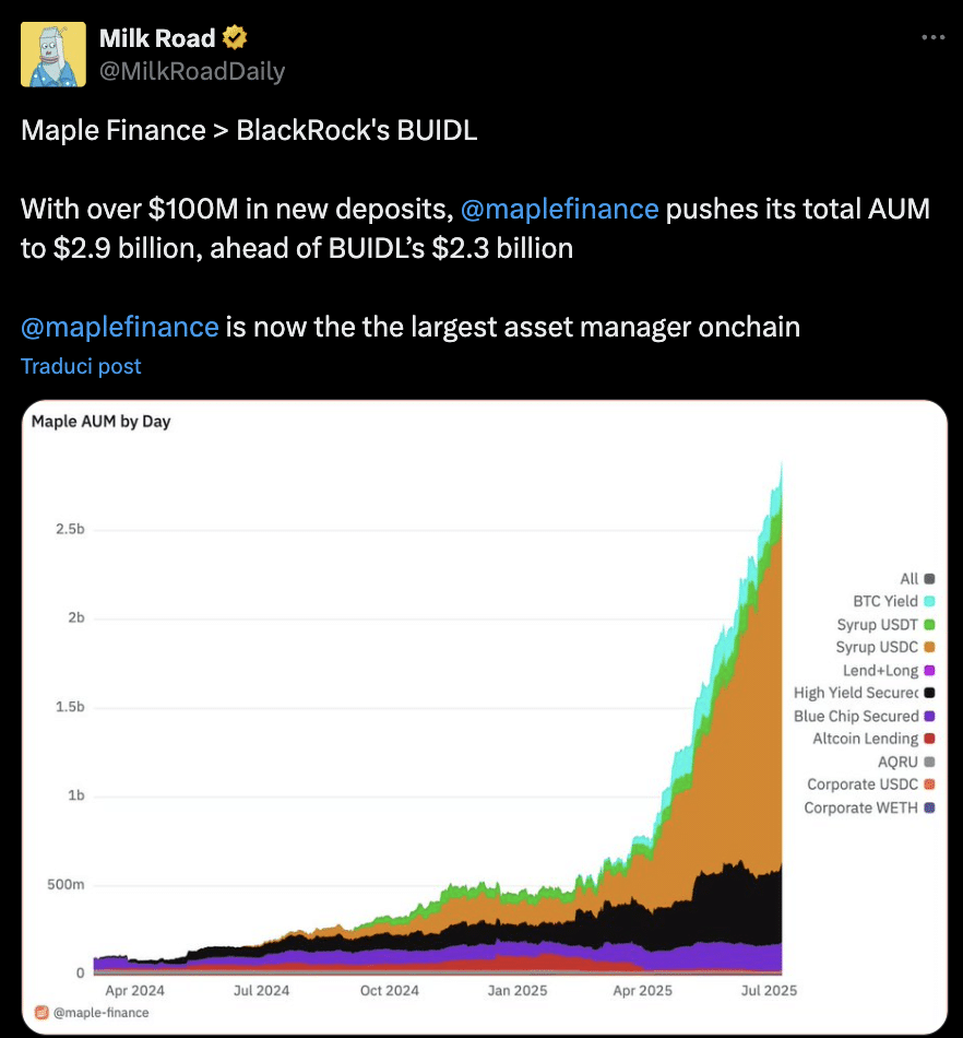 Maple finance crypto
