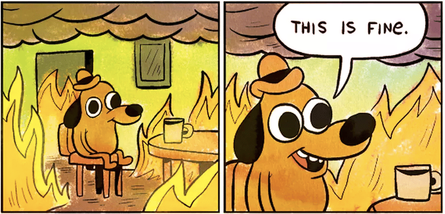 meme crypto bull market
