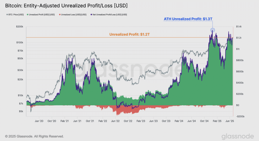 Bitcoin holders profitti
