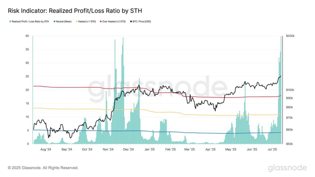 profitti perdite STH Bitcoin