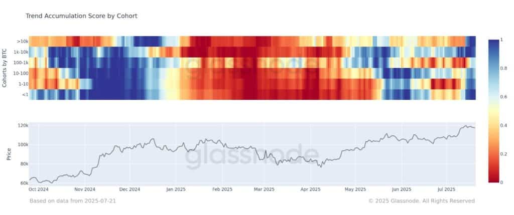 Bitcoin trend score