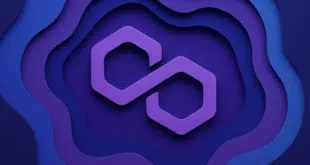 POLYGON POL RINASCITA