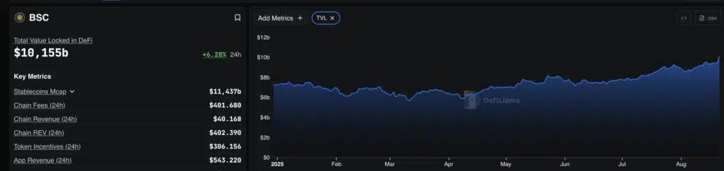 TVL Binance Chain - Fonte: DefiLlama