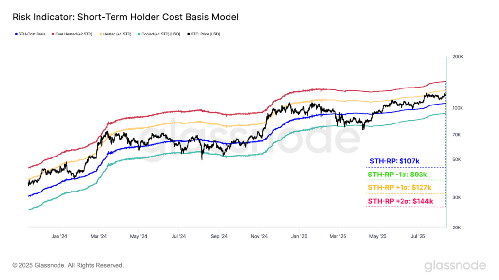 short term cost basis