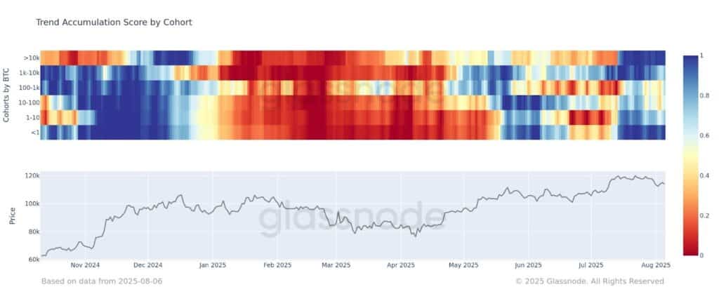 Bitcoin accumulazione holders