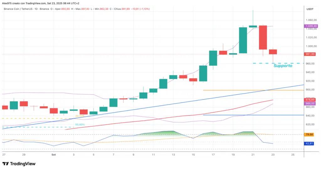Binance Coin (BNB) - weekly 23 settembre 2025