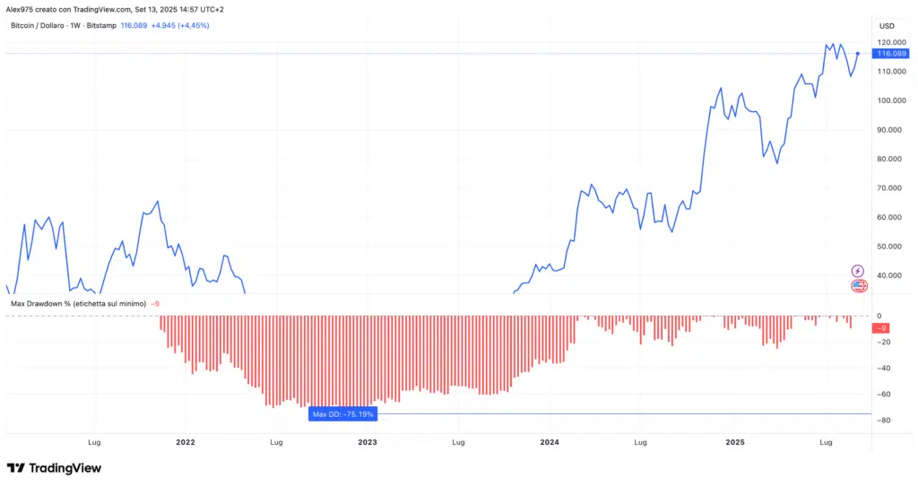 Bitcoin (BTC)- drawdown storici