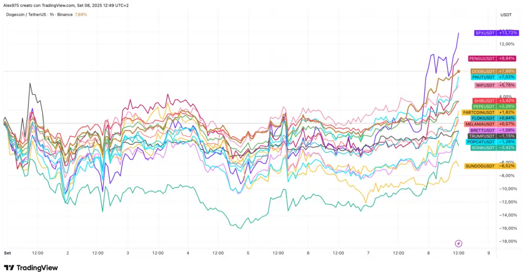 Andamento meme coin in settembre