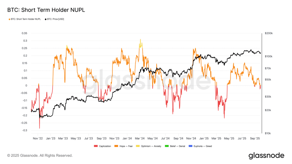 Bitcoin on-chain NUPL