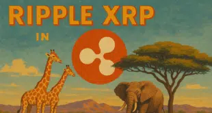 XRP AFRICA