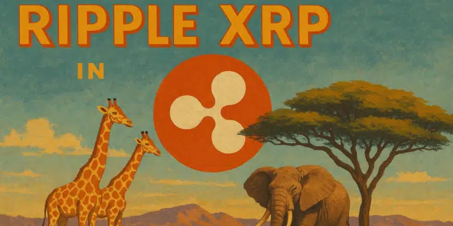 XRP AFRICA
