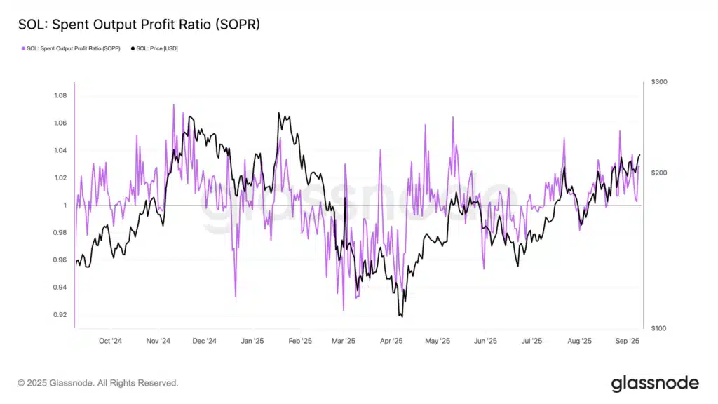 Solana profittabilità traders
