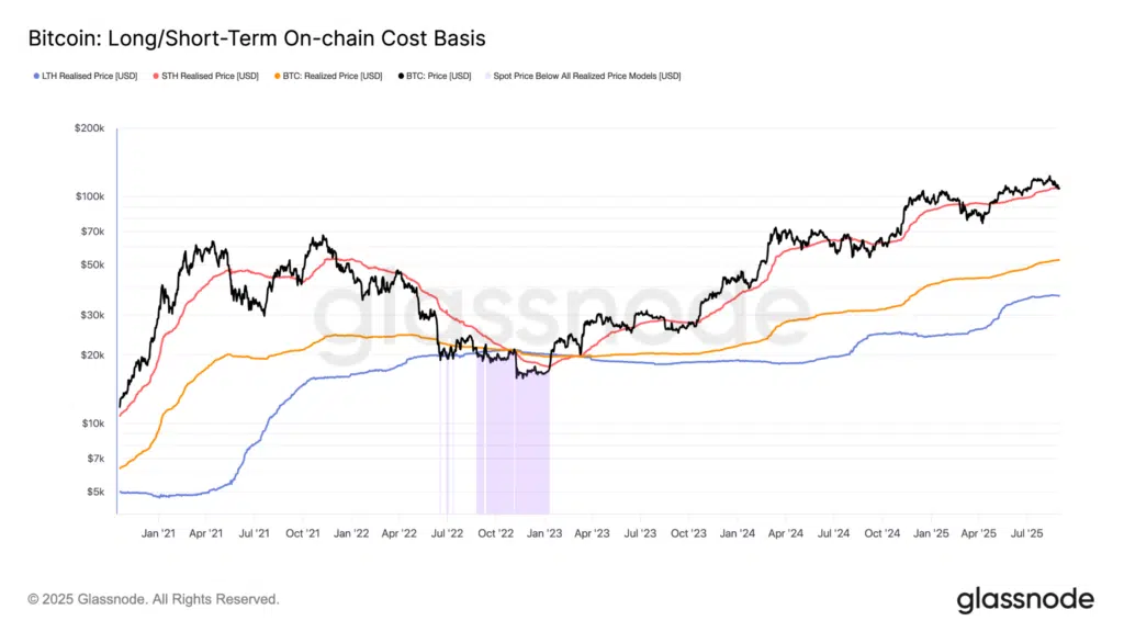 cost basis btc