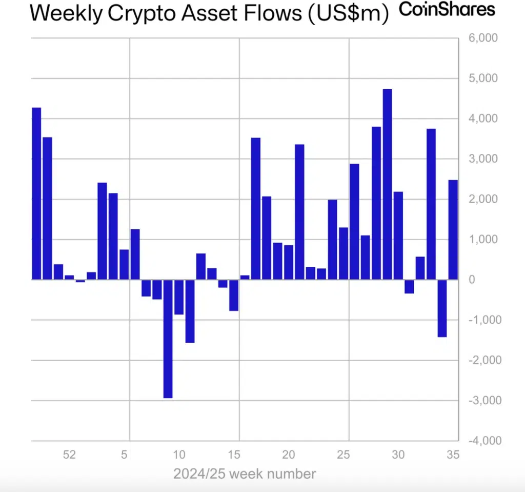 Dati settimana per settimana