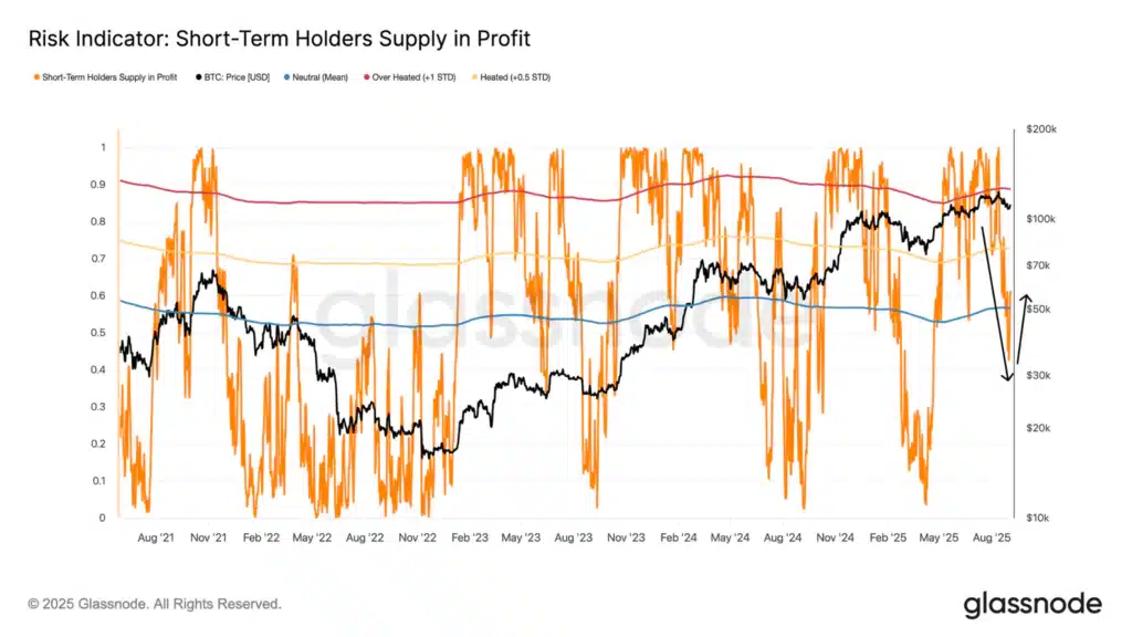 short term holders bitcoin 