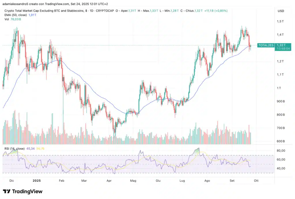 market cap crypto esclusi Bitcoin e stablecoin