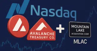 NASDAQ DAT AVALANCHE