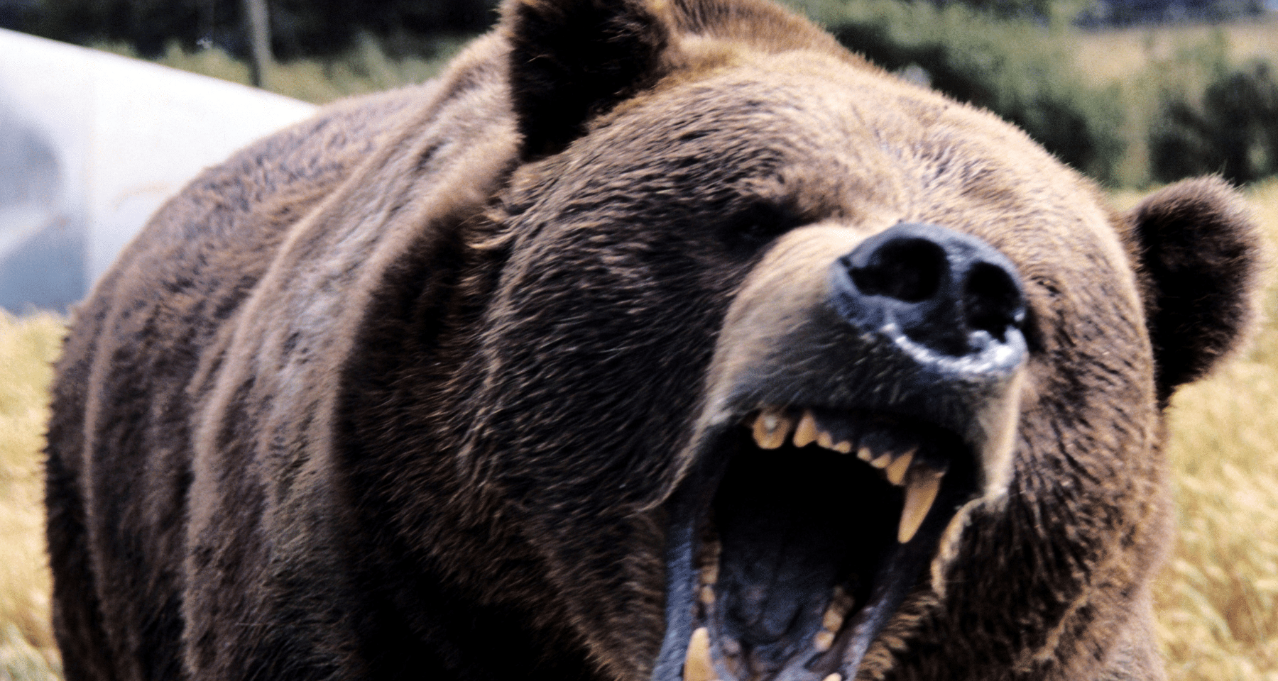 Bitcoin sotto i 100.000$ nel weekend - parla analista di Standard Chartered