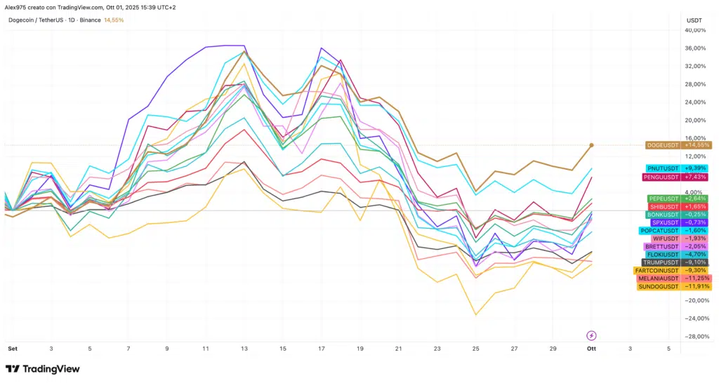 Andamento Meme Coin da Settembre