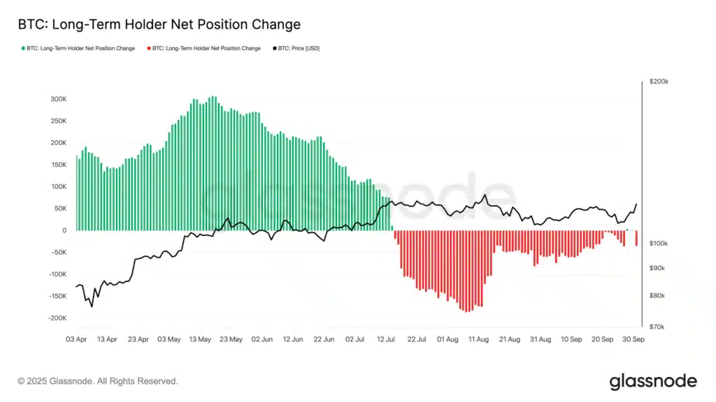 long term holders