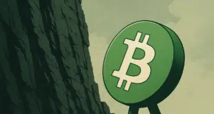 Bitcoin Cash (BCH)
